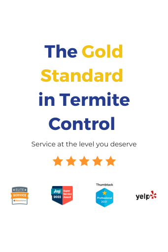 The Gold Standard in Termite Control (1)